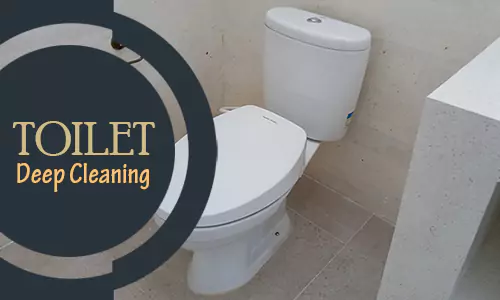 jasa bersih kerak toilet wc cleaning di Ubud Gianyar