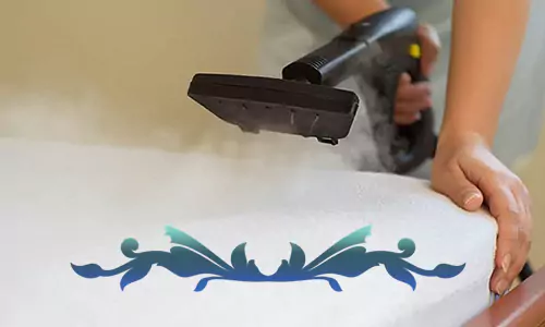 jasa pembasmi bed bugs di Bali