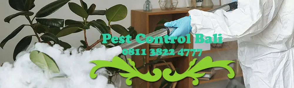 jasa pest control di Bali