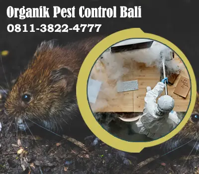 pest control di bali dengan metode organik