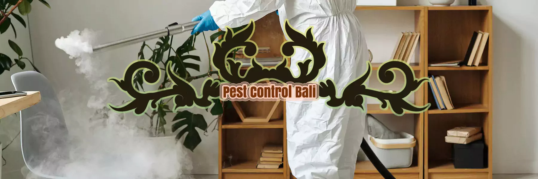 jasa metode organik pest control di Bali
