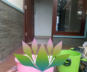 deep cleaning di bali