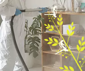 basmi hama jamur dengan minyak mimba di Bali