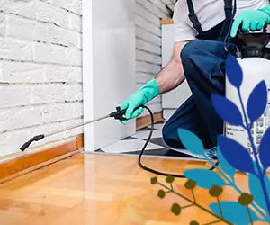 jasa pest control di Bali